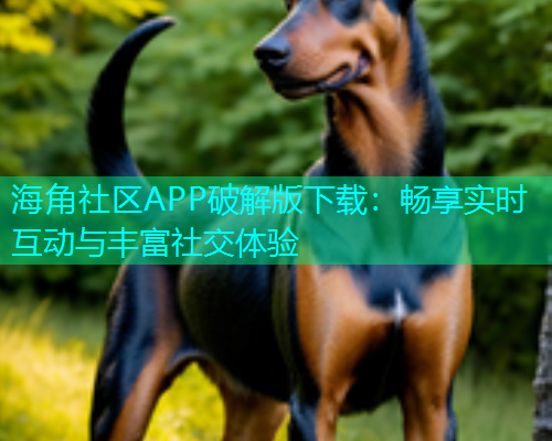 海角社区APP破解版下载：畅享实时互动与丰富社交体验