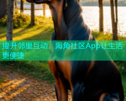 提升邻里互动，海角社区App让生活更便捷