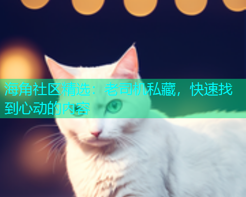 海角社区精选：老司机私藏，快速找到心动的内容