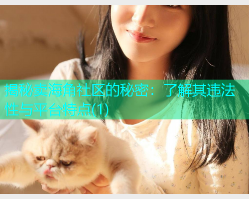 揭秘卖海角社区的秘密：了解其违法性与平台特点(1)