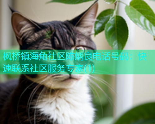 枫桥镇海角社区陈炳良电话号码：快速联系社区服务专家(1)