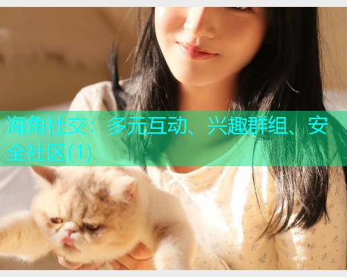 海角社交:多元互动、兴趣群组、安全社区(1) 海角社交:多元互动、兴趣群组、安全社区(1)
