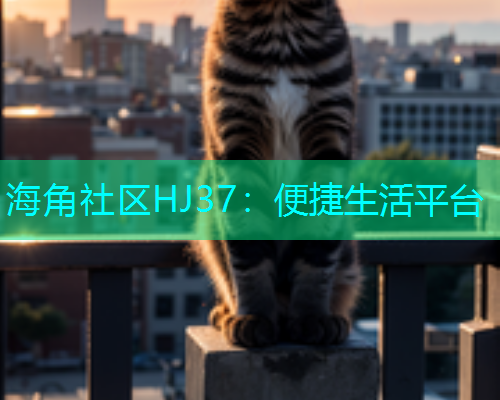 海角社区HJ37：便捷生活平台