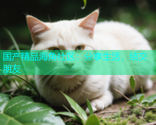 国产精品海角社区：分享生活，结交朋友