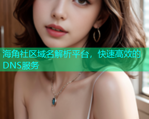 海角社区域名解析平台，快速高效的DNS服务