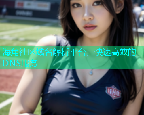 海角社区域名解析平台，快速高效的DNS服务