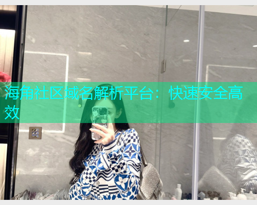 海角社区域名解析平台：快速安全高效