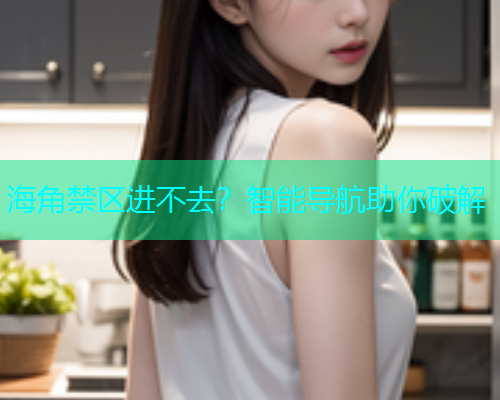 海角禁区进不去？智能导航助你破解