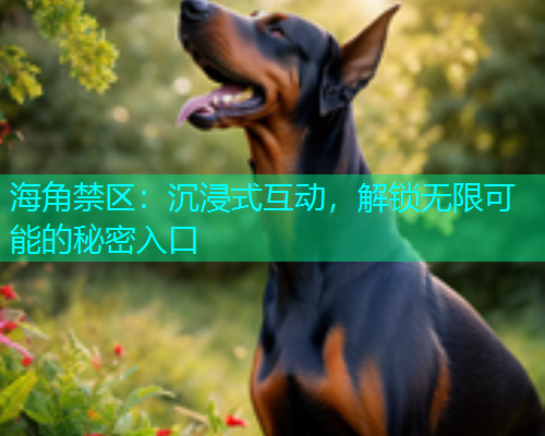 海角禁区：沉浸式互动，解锁无限可能的秘密入口