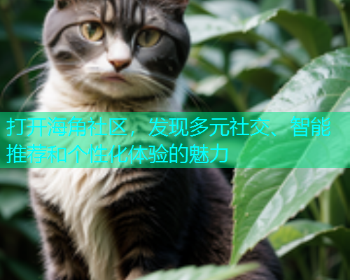 打开海角社区，发现多元社交、智能推荐和个性化体验的魅力