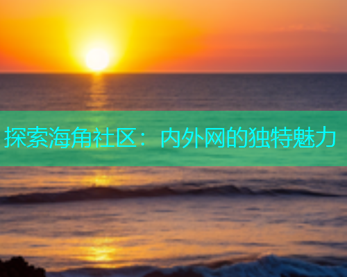 探索海角社区：内外网的独特魅力