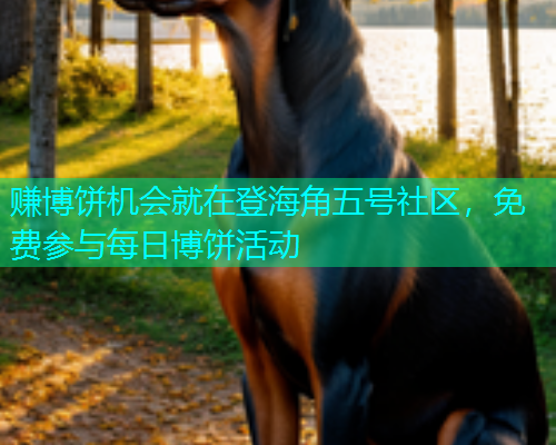 赚博饼机会就在登海角五号社区,免费参与每日博饼活动 赚博饼机会就在登海角五号社区,免费参与每日博饼活动