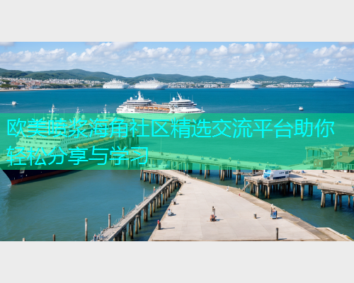 欧美喷浆海角社区精选交流平台助你轻松分享与学习